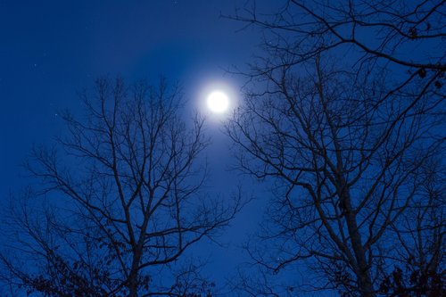 moon  moonrise  moonlight
