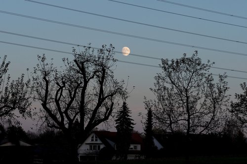 moon  power line  tree