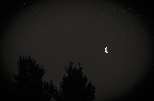 moon  night  sky