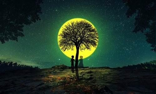 moon  tree  lover