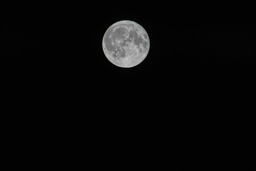 moon  night  full moon