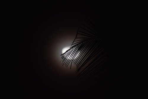 moon  night  moonlight