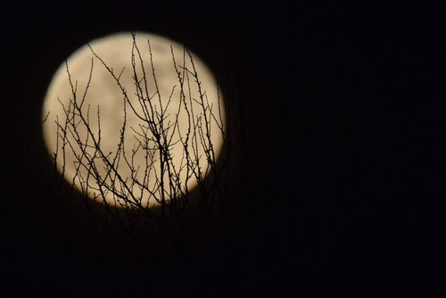 moon  full moon  moonlight