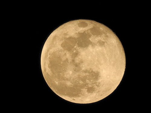 moon  full moon  at night