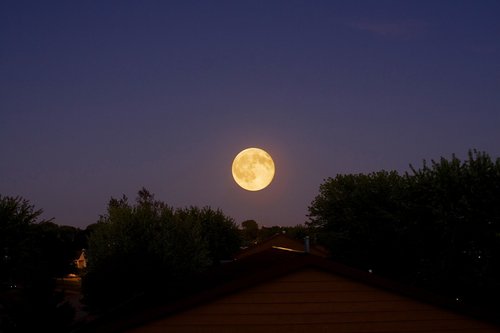 moon  night  dark