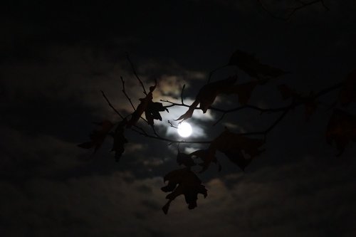 moon  night  mystical