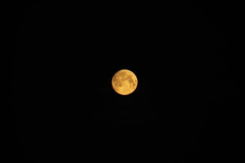 moon  night  full moon