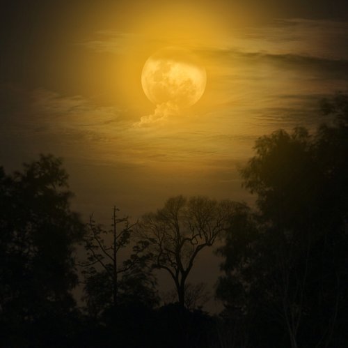 moon  night  moonlight