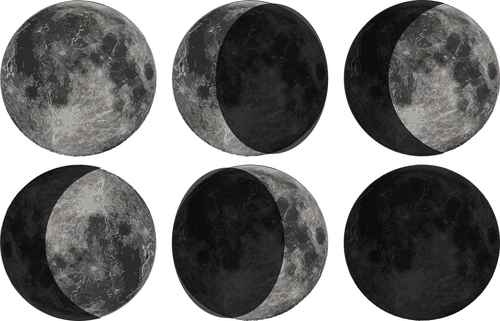 moon  phase  zodiac