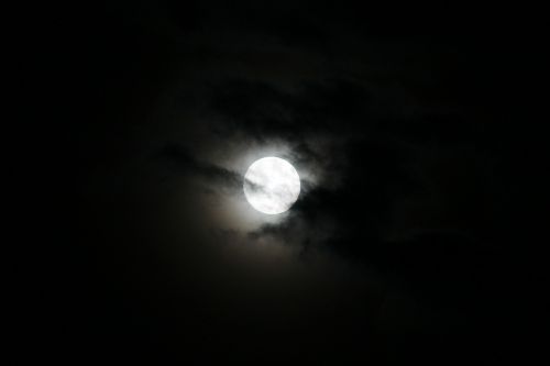 moon night moonlight