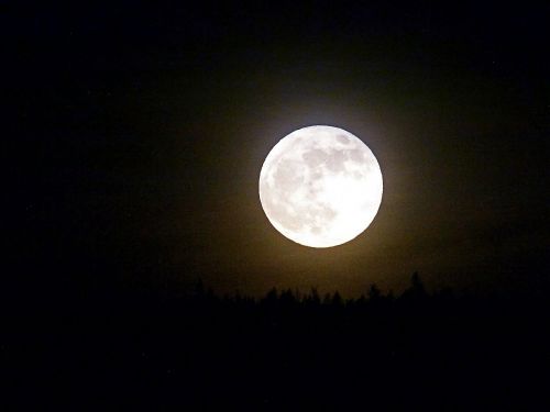 moon full night