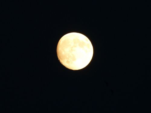 moon quality full moon