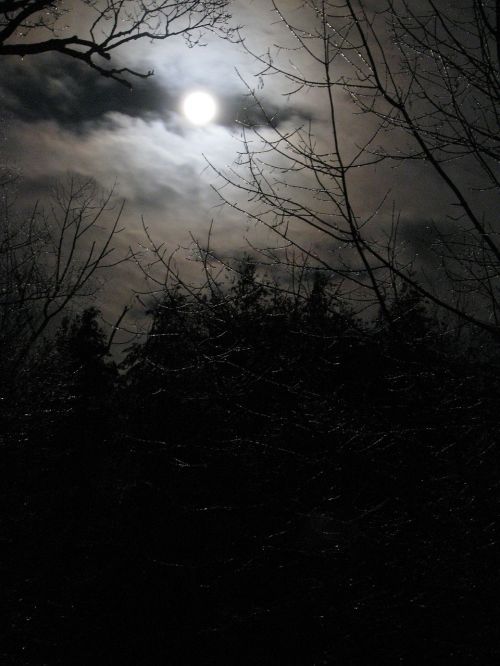 moon moonlight night