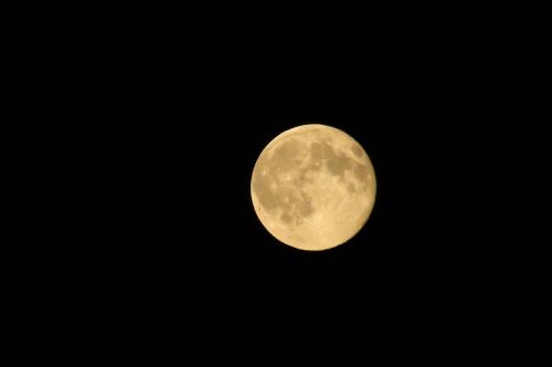moon night full moon