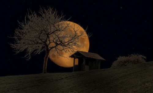 moon night mood
