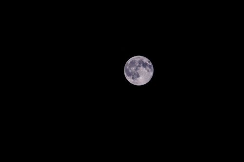 moon night blue moon