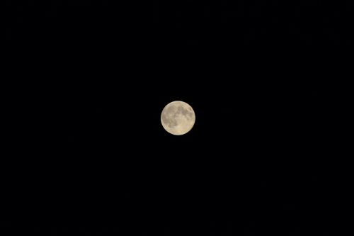 moon the fullness of night
