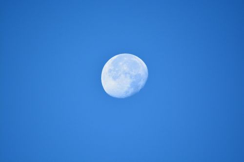 moon blue lionnel