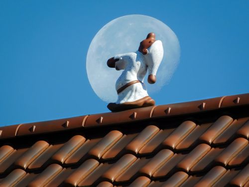 moon sleep roof