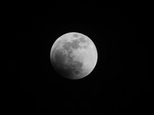 moon eclipse night night sky