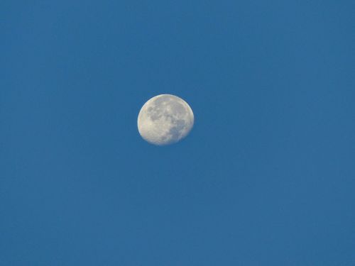 Moon In The Morning Sky