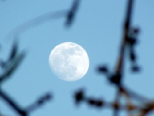 Moon Sky 2