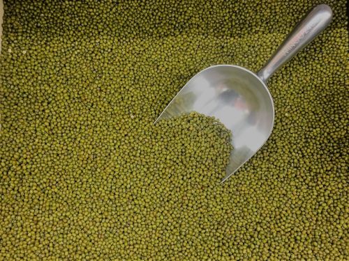 moong beans green dry