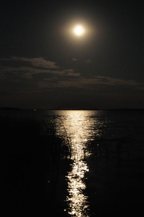 moonlight water sparkle