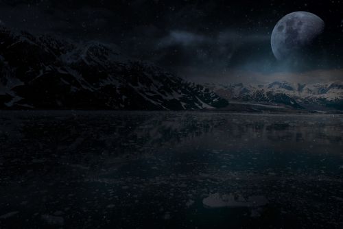 moonlight winter landscape