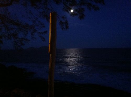 moonlight ocean night
