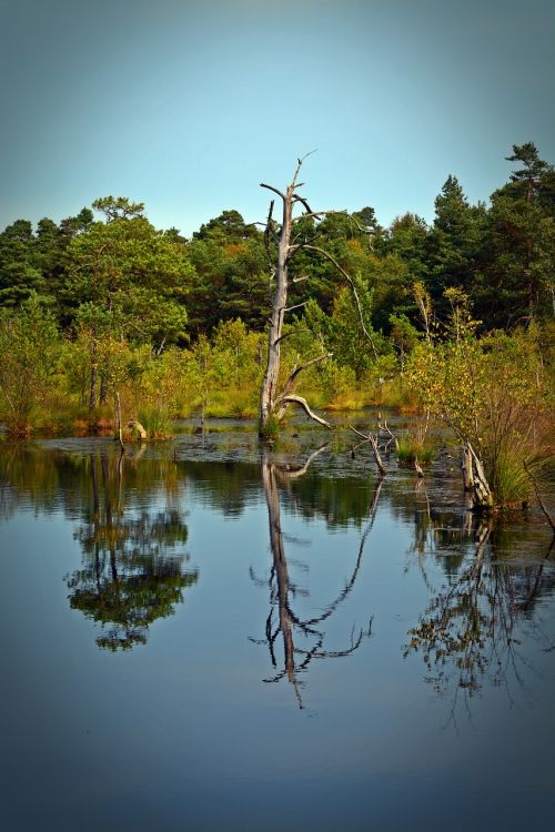 moor mirroring water