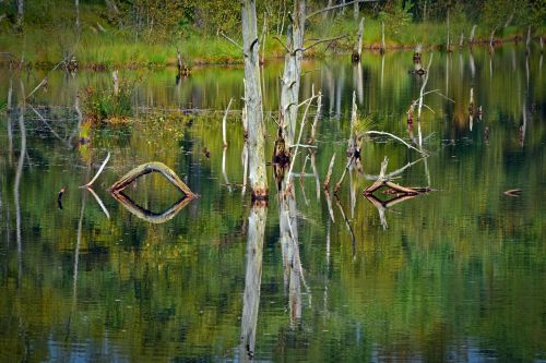 moor mirroring water