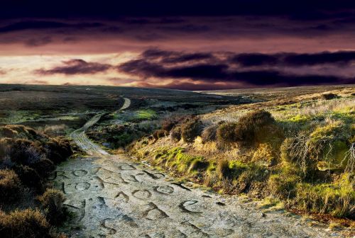 moor track landscape