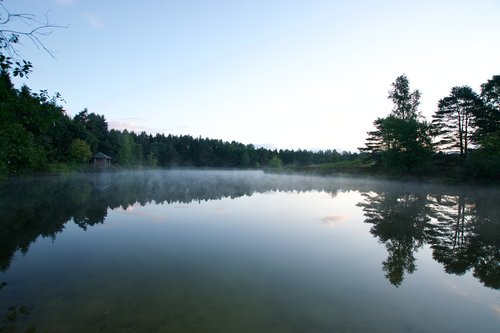 moor  heide  fog