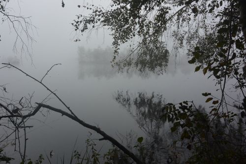 moor fog landscape