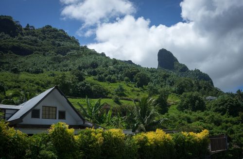 moorea french polynesia south pacific