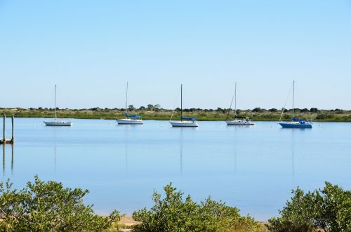 Moored Sailboats