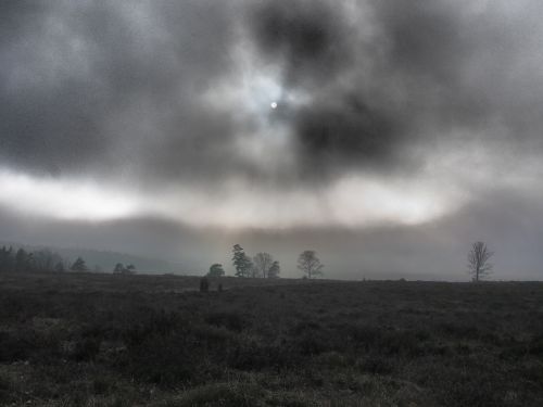 moorland mist autumn evening