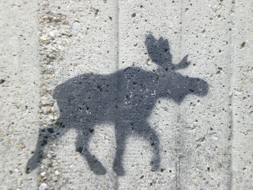 moose wall figure