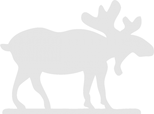 moose stag antler