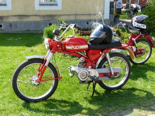 moped rally spring