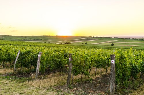 moravia  czech  landscape