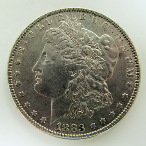 Morgan Dollar 4