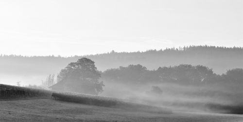 morgenstimmung sunrise skies