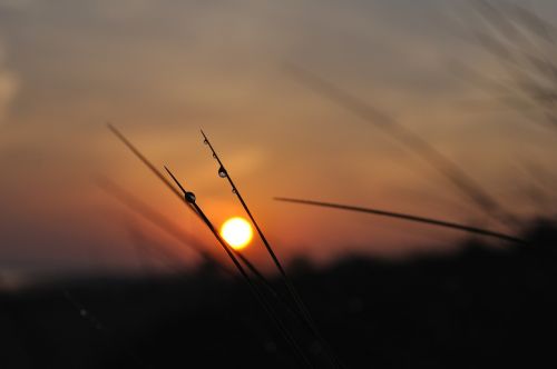 morgenstimmung sunrise back light