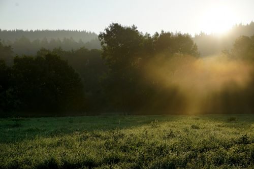 morgenstimmung landscape nature