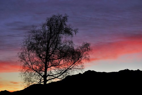 morgenstimmung  sunrise  nature