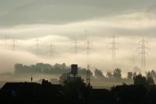 morgenstimmung fog farm