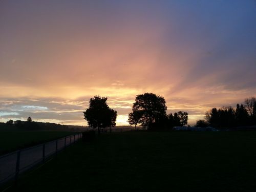 morgenstimmung trees clouds