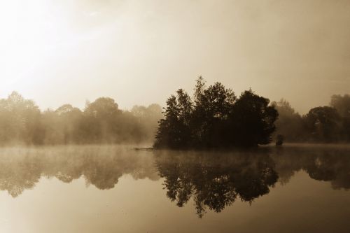 morning nature the fog